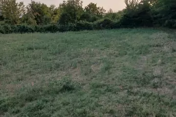 Satılır Torpaq şəki şəhəridə 