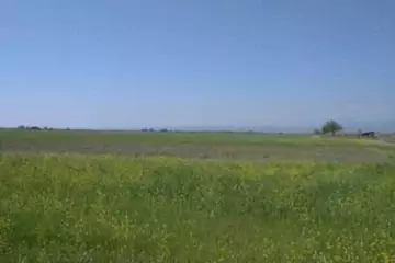 Satılır Torpaq 20-ci Sahədə 