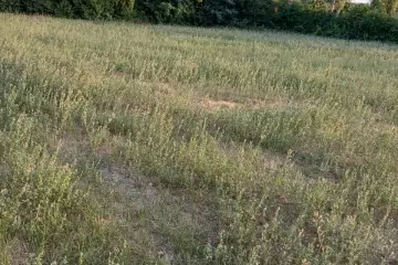 Satılır Torpaq şəki şəhəridə 