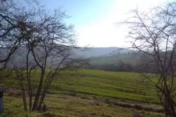 Satılır Torpaq 20-ci Sahədə 