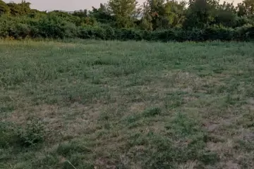 Satılır Torpaq şəki şəhəridə 