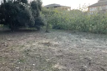 Satılır Torpaq Nardaranda 