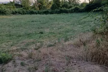 Satılır Torpaq şəki şəhəridə 