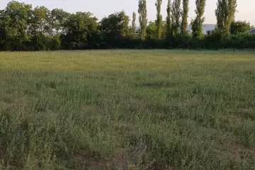 Satılır Torpaq şəki şəhəridə 