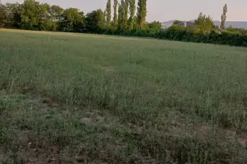 Satılır Torpaq şəki şəhəridə 