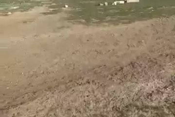 Satılır Torpaq Atyalıda 