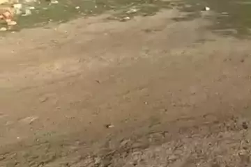 Satılır Torpaq Atyalıda 