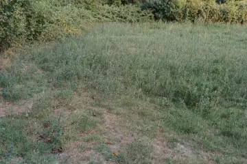 Satılır Torpaq şəki şəhəridə 