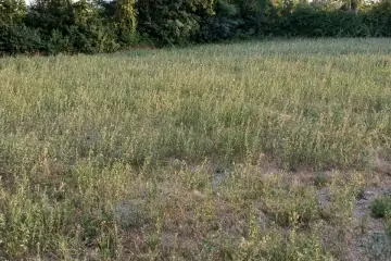 Satılır Torpaq şəki şəhəridə 