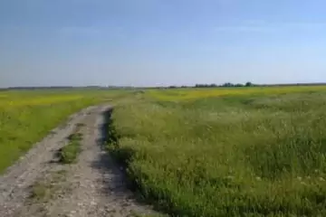 Satılır Torpaq 20-ci Sahədə 