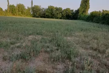 Satılır Torpaq şəki şəhəridə 