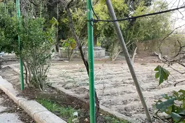 Satılır Torpaq Nardaranda 