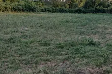 Satılır Torpaq şəki şəhəridə 