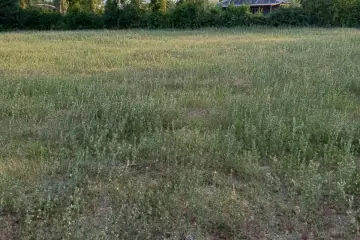 Satılır Torpaq şəki şəhəridə 