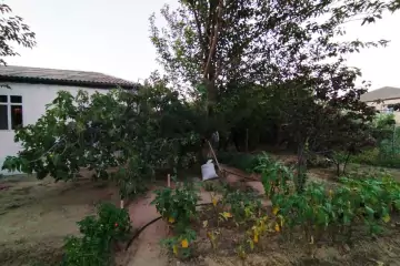 Satılır Bağ Evi Sarayda 