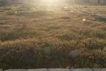 Satılır Torpaq Müşviqabadda 