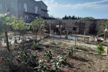 Satılır Həyət Evi Pirşağıda 