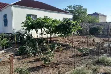 Satılır Həyət Evi Pirşağıda 