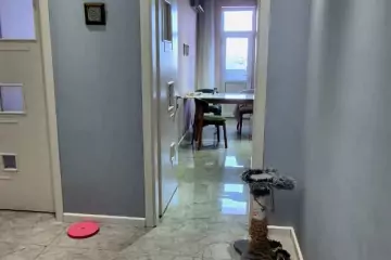 Satılır Köhnə Tikili Elmler Akademiyasıda 