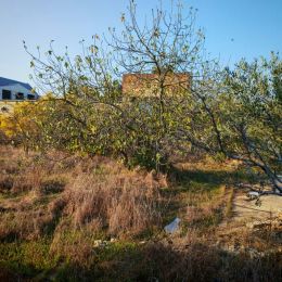 15 sot  torpaq satılır, Maştağa