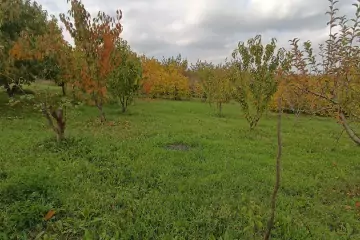 Satılır Bağ Evi şabran Rayonunda 