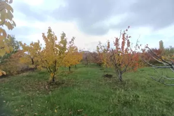 Satılır Bağ Evi şabran Rayonunda 