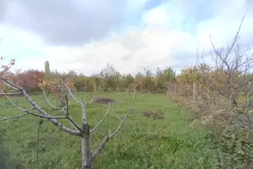 Satılır Bağ Evi şabran Rayonunda 