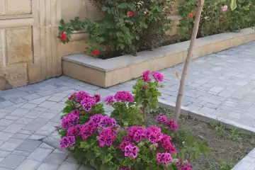 Satılır Həyət Evi Biləcəridə 