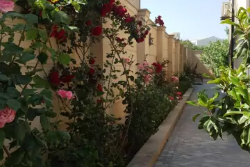 Satılır Həyət Evi Biləcəridə 