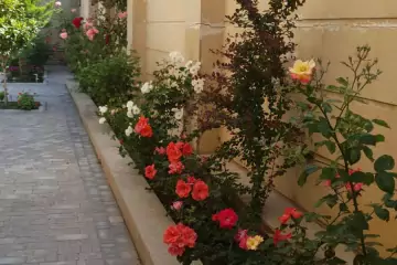 Satılır Həyət Evi Biləcəridə 