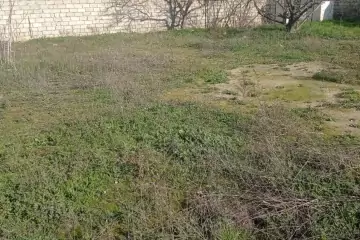 Satılır Torpaq 8-ci Kilometrdə 