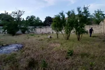 Satılır Torpaq 8-ci Kilometrdə 