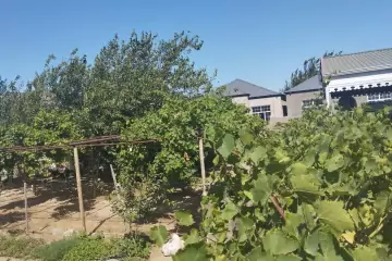 Satılır Torpaq Ramanada 