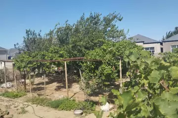 Satılır Torpaq Ramanada 