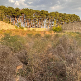 8 sot  torpaq satılır, Goradil