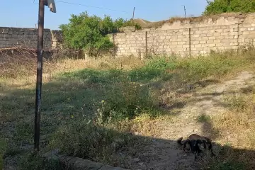 Satılır Həyət Evi Bilgəhdə 