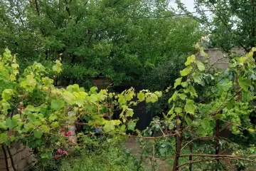 Satılır Həyət Evi Bakıda 