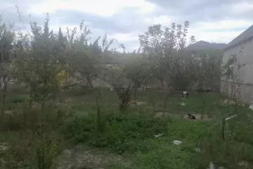 Satılır Həyət Evi Bilgəhdə 