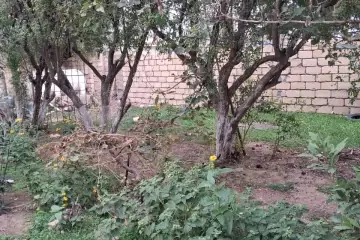 Satılır Həyət Evi Bilgəhdə 