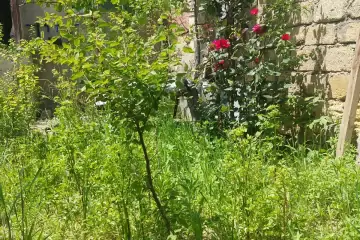 Satılır Həyət Evi Bakıda 