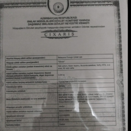 4 sot  torpaq satılır, Buzovna