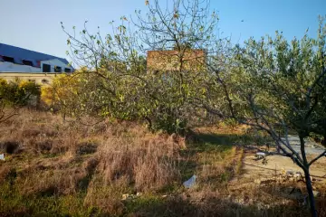 Satılır Torpaq Maştağada 