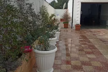 Satılır Obyekt Buzovnada 