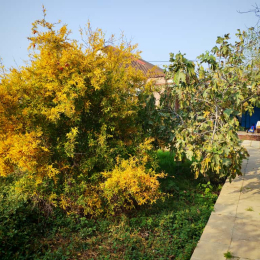 Satılır 3 otaqlı Həyət evi 80 m², 5 sot  torpaq, Maştağa