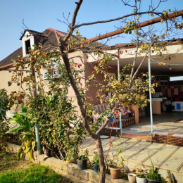 Satılır 3 otaqlı Həyət evi 80 m², 5 sot  torpaq, Maştağa