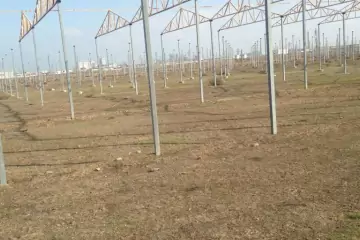 Satılır Torpaq Novxanıda 