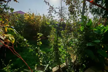 Satılır Həyət Evi Maştağada 