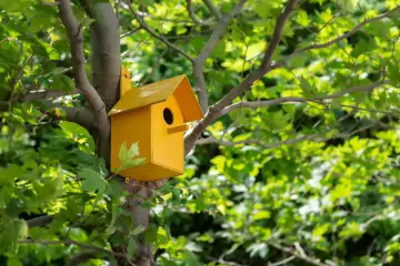 Aylıq Kirayə Yeni Tikili Yasamalda 