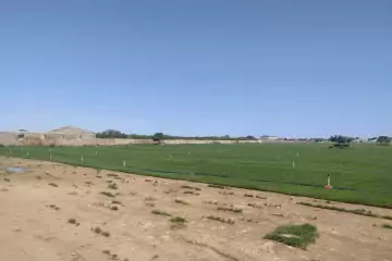 Satılır Torpaq Səngəçalda 