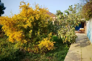 Satılır Həyət Evi Maştağada 